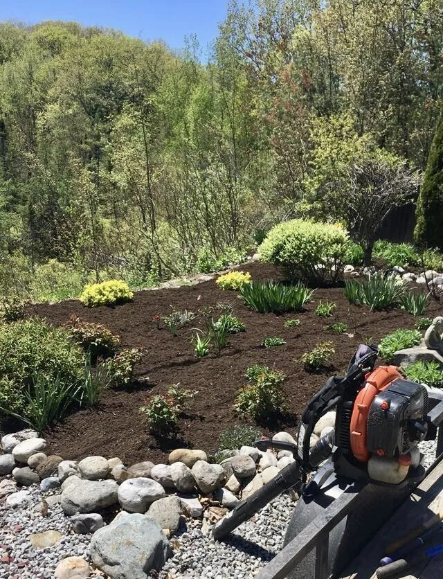 Local yard cleanup service in Green Township, NJ by Eden Scape Creations