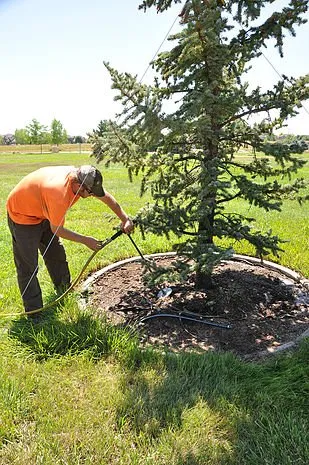 Custom yard maintenance in Gretna, NE - Eden Tree Pros