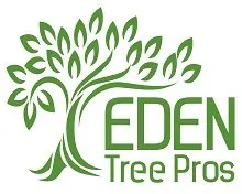Expert landscape design in Gretna, NE by Eden Tree Pros