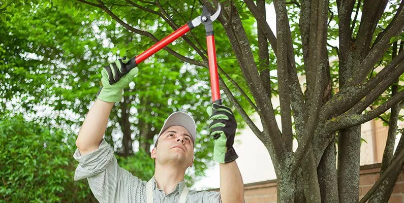 Local landscape installation experts serving Gretna, NE - Eden Tree Pros