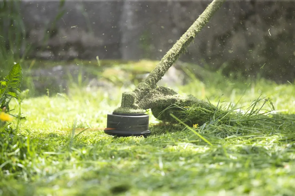 Reliable lawn mowing service for year-round maintenance in Gold River, CA by Edeness LPA