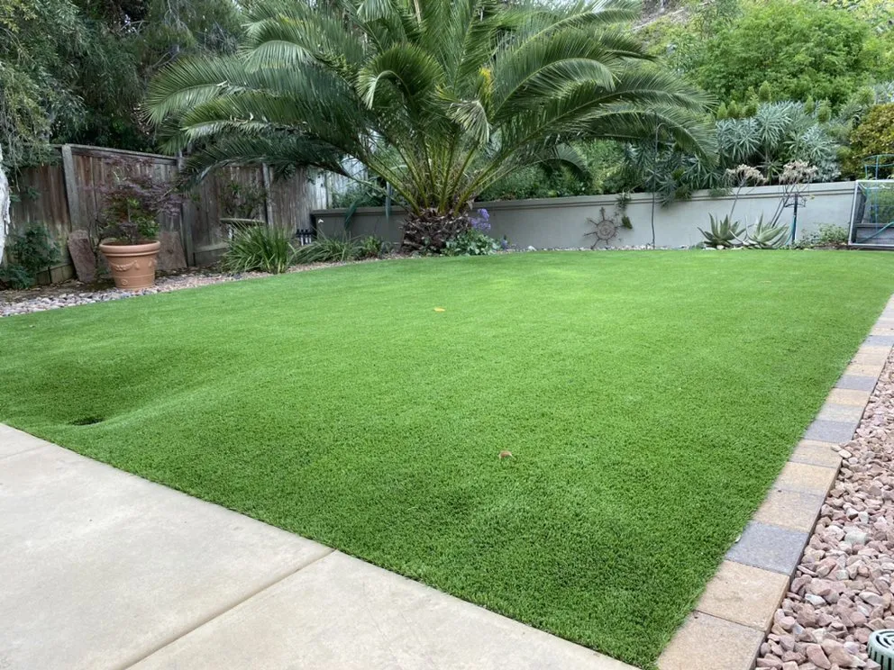 Affordable yard maintenance experts serving Gold River, CA - Edeness LPA