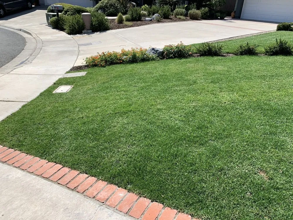 Expert residential landscaping for beautiful yards across Gold River, CA - Edeness LPA