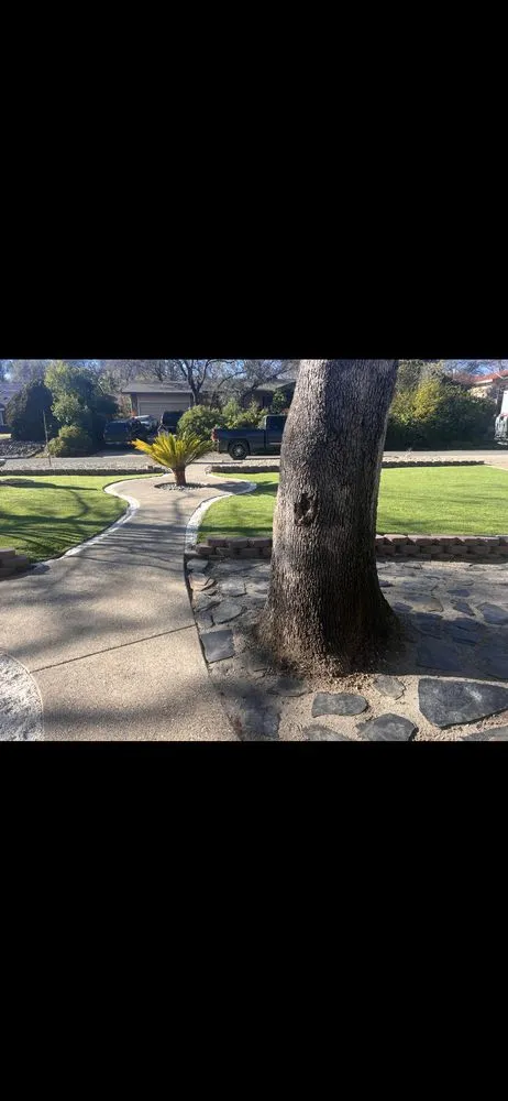 Trusted lawn care service in Gold River, CA by Edeness LPA