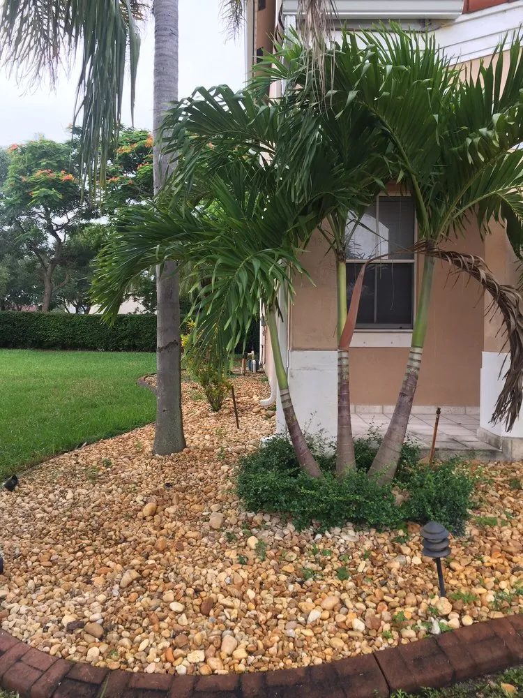 Trusted landscaping services for year-round maintenance across Hollywood, FL - Edenn Landscaping