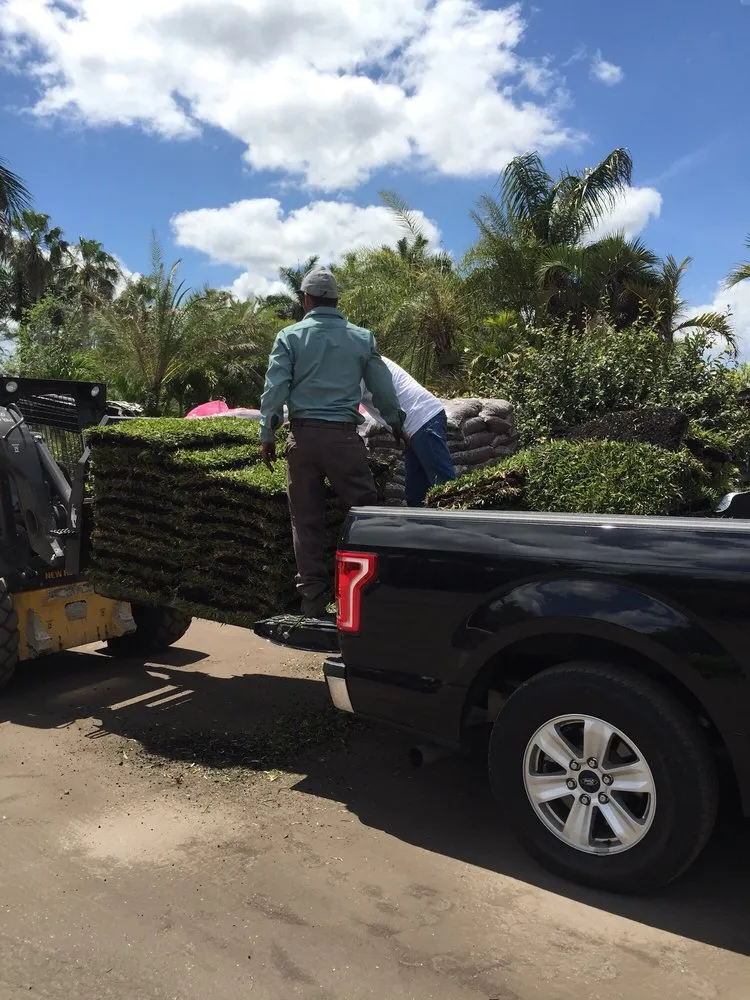 Local lawn mowing service for year-round maintenance across Hollywood, FL - Edenn Landscaping