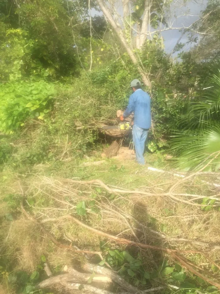 Reliable lawn mowing service near you in Hollywood, FL by Edenn Landscaping