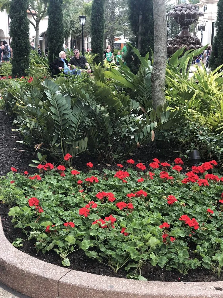 Expert yard cleanup service in Hollywood, FL - Edenn Landscaping