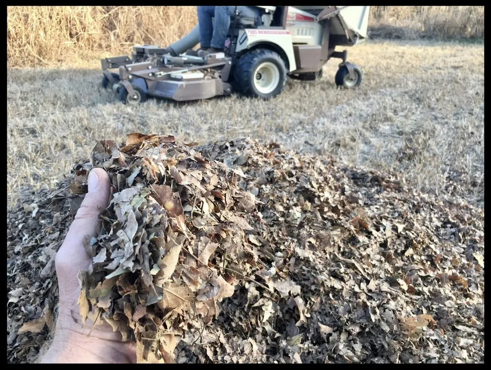 Affordable outdoor landscaping in Glen Allen, MO by Eden’s Edge Lawn Care