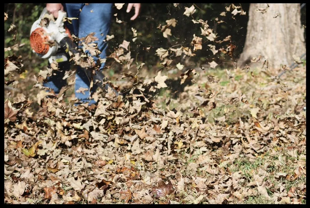 Custom landscape design in Glen Allen, MO - Eden’s Edge Lawn Care