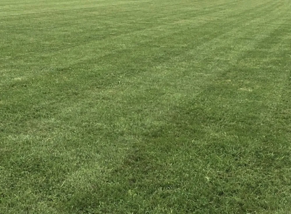 Reliable outdoor landscaping near you across Glen Allen, MO - Eden’s Edge Lawn Care