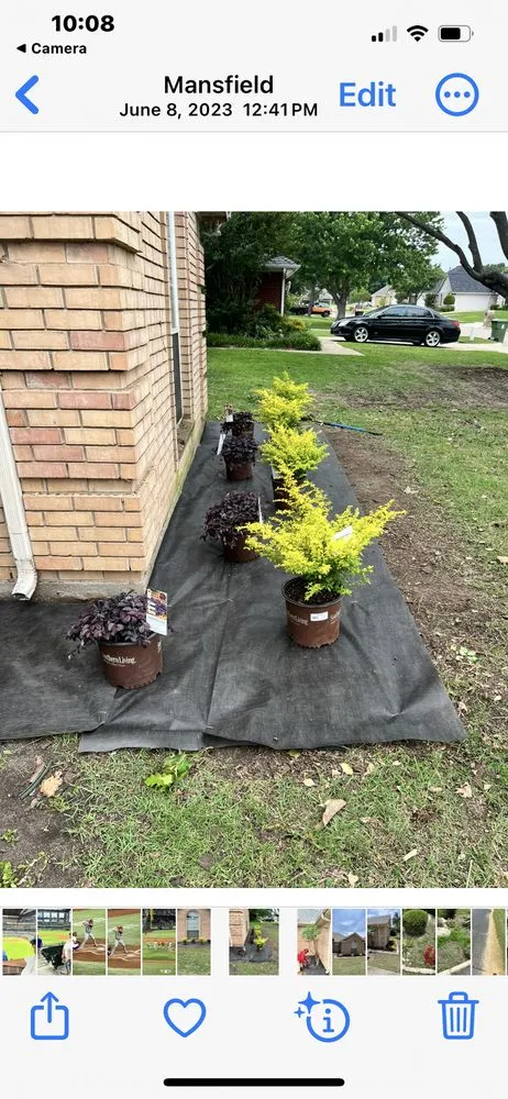 Local landscaping services in Burleson, TX - Edens End