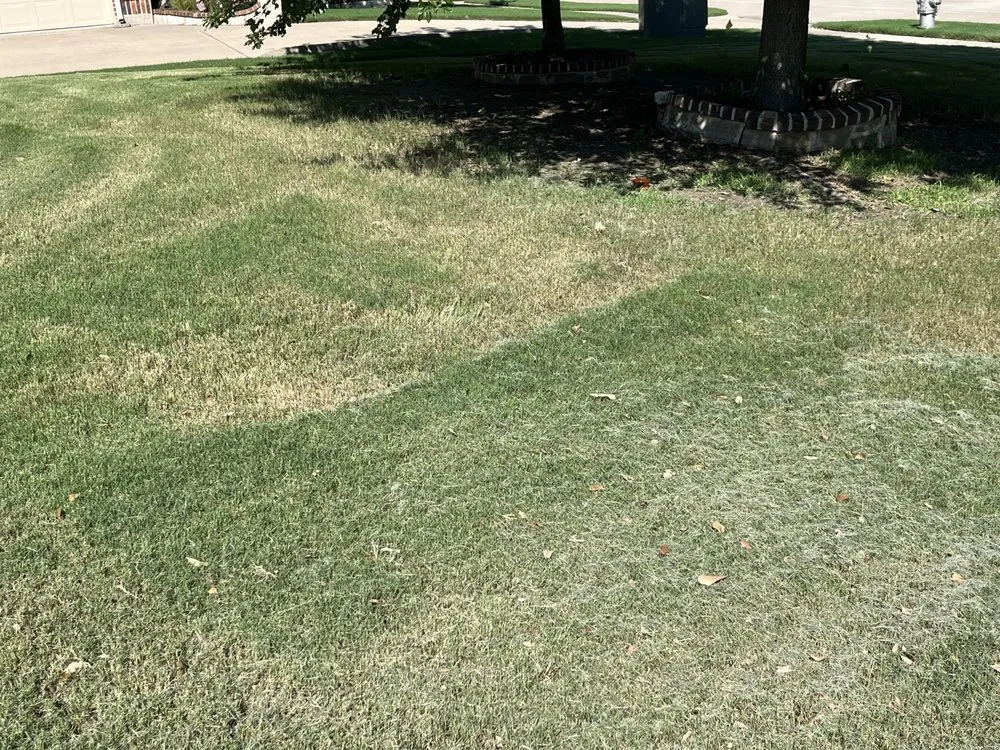 Local landscape design in Burleson, TX by Edens End