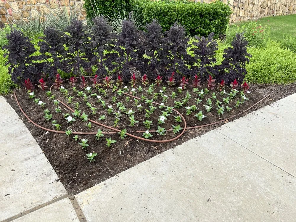 Expert landscaping services for beautiful yards across Burleson, TX - Edens End