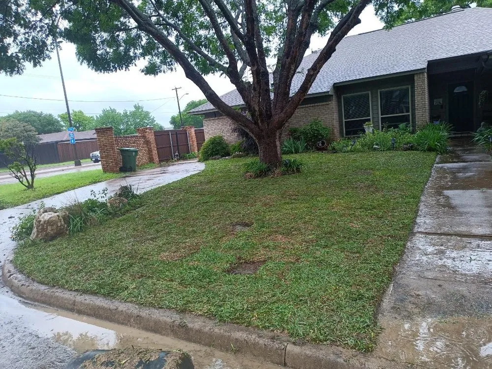 Professional lawn mowing service in Burleson, TX - Edens End