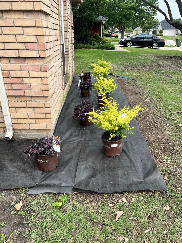 Trusted garden landscaping for beautiful yards across Burleson, TX - Edens End