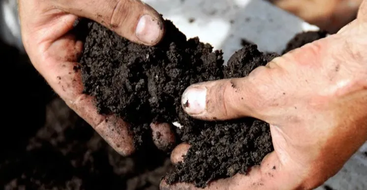 Custom yard maintenance in Gaithersburg, MD by Eden's Garden