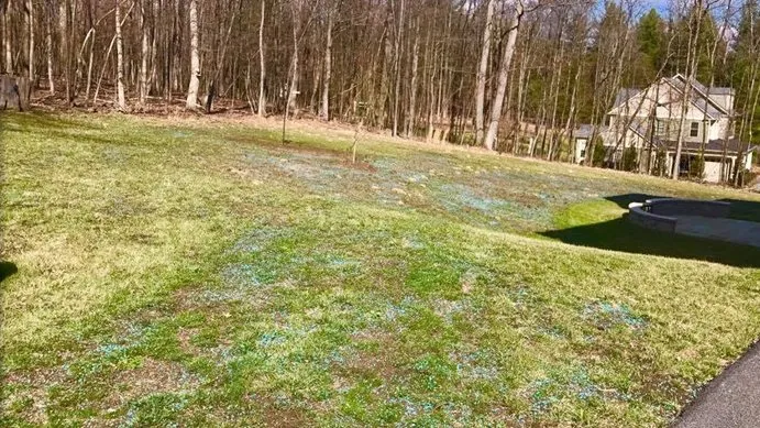 Custom yard cleanup service in Gaithersburg, MD by Eden's Garden