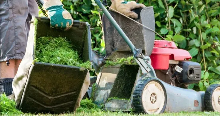 Local lawn mowing service in Gaithersburg, MD - Eden's Garden