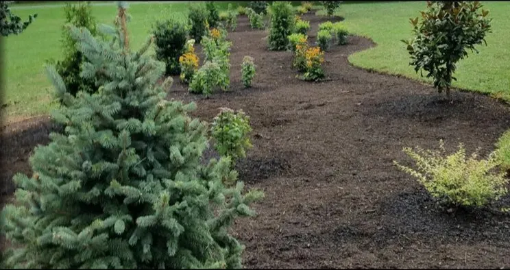 Expert lawn care service experts serving Gaithersburg, MD - Eden's Garden