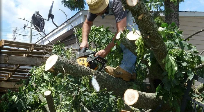 Professional outdoor landscaping in Gaithersburg, MD by Eden's Garden