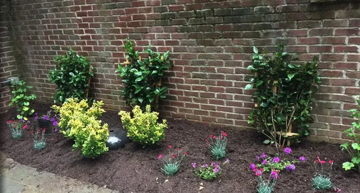 Top-rated landscaping services experts serving Gaithersburg, MD - Eden's Garden