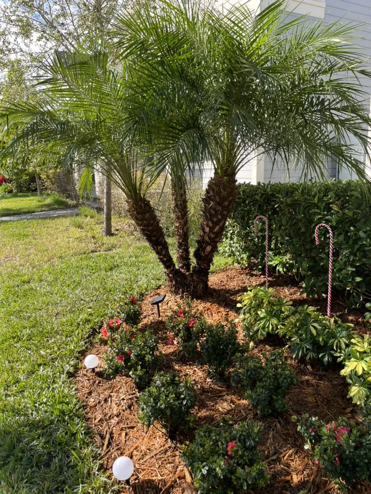 Top-rated landscape installation for outdoor upgrades in DeLand, FL by Edens Garden Landscape