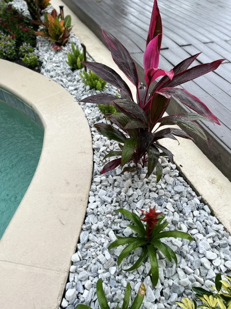 Custom landscape design experts serving DeLand, FL - Edens Garden Landscape