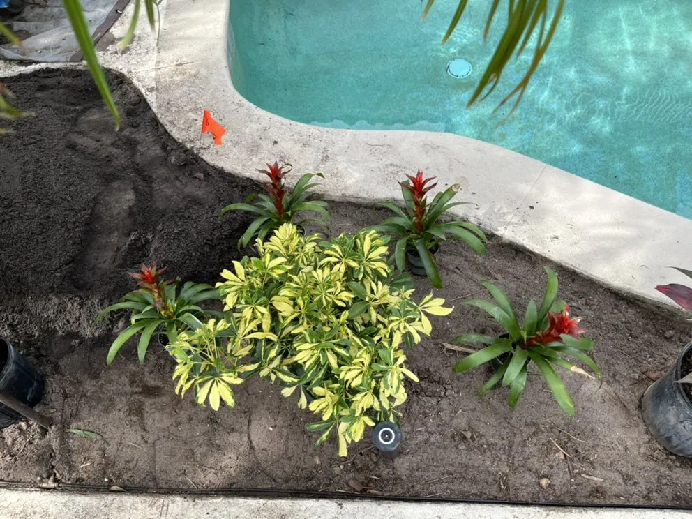 Reliable garden landscaping in DeLand, FL - Edens Garden Landscape