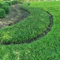 Custom garden landscaping for residential properties in DeLand, FL by Edens Garden Landscape