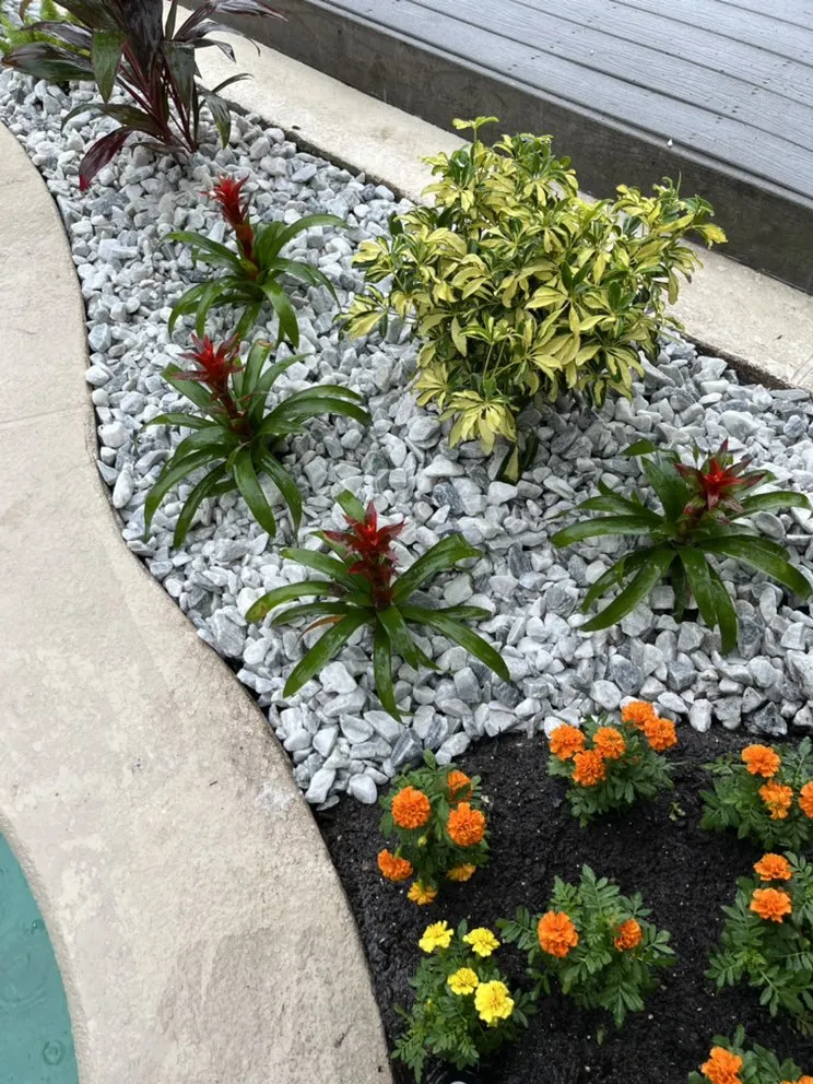 Local yard cleanup service experts serving DeLand, FL - Edens Garden Landscape