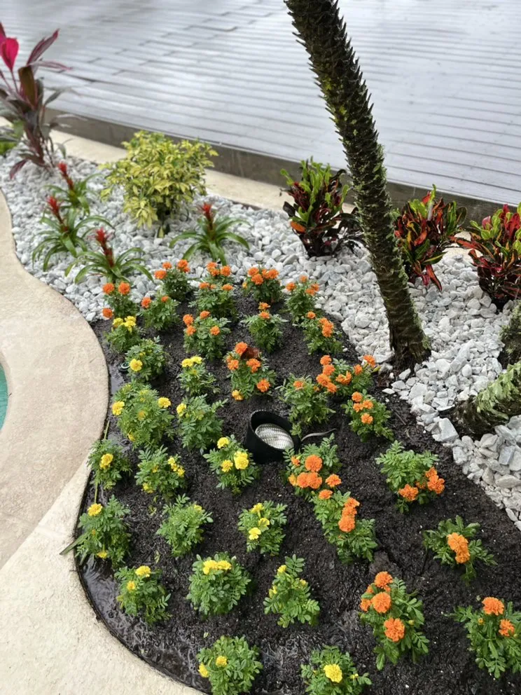 Trusted landscape installation for year-round maintenance across DeLand, FL - Edens Garden Landscape