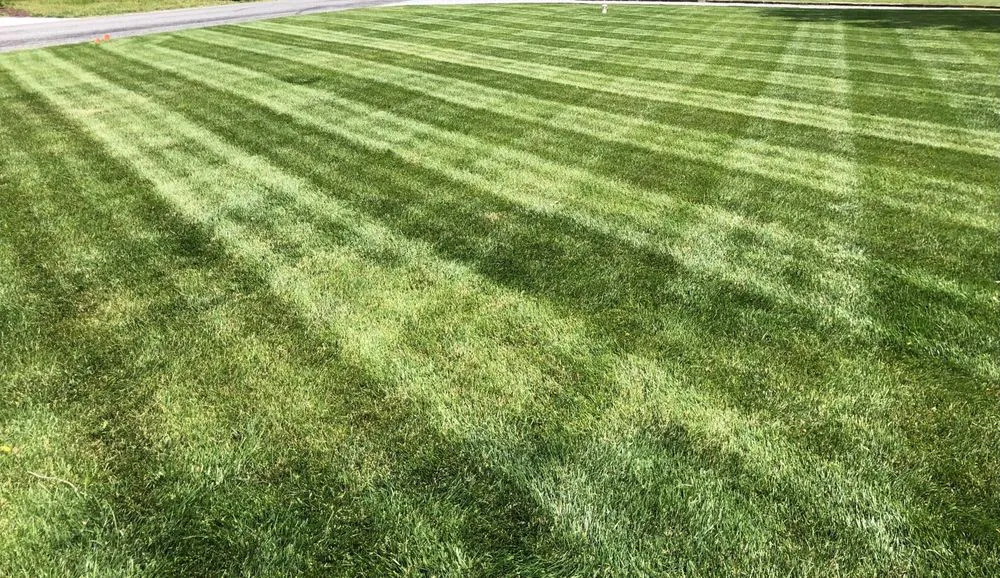 Affordable residential landscaping experts serving Seaford, DE - Eden’s Garden Lawn Care