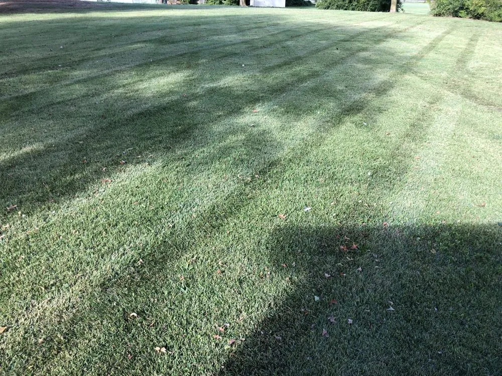 Reliable lawn care service in Seaford, DE - Eden’s Garden Lawn Care