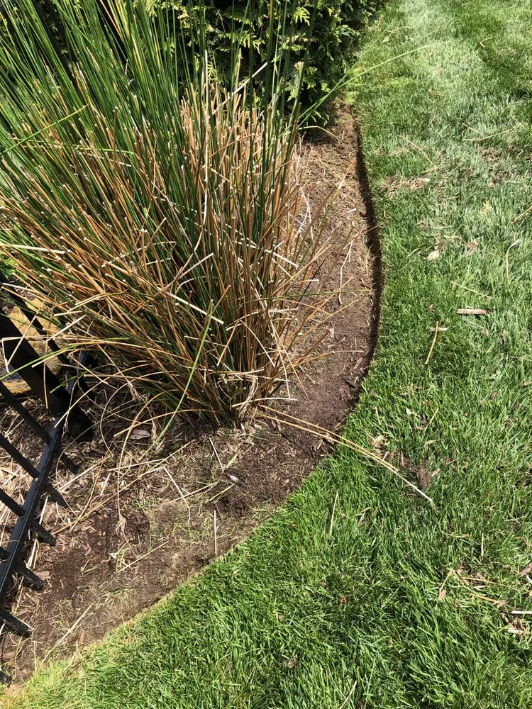 Professional yard cleanup service experts serving Seaford, DE - Eden’s Garden Lawn Care