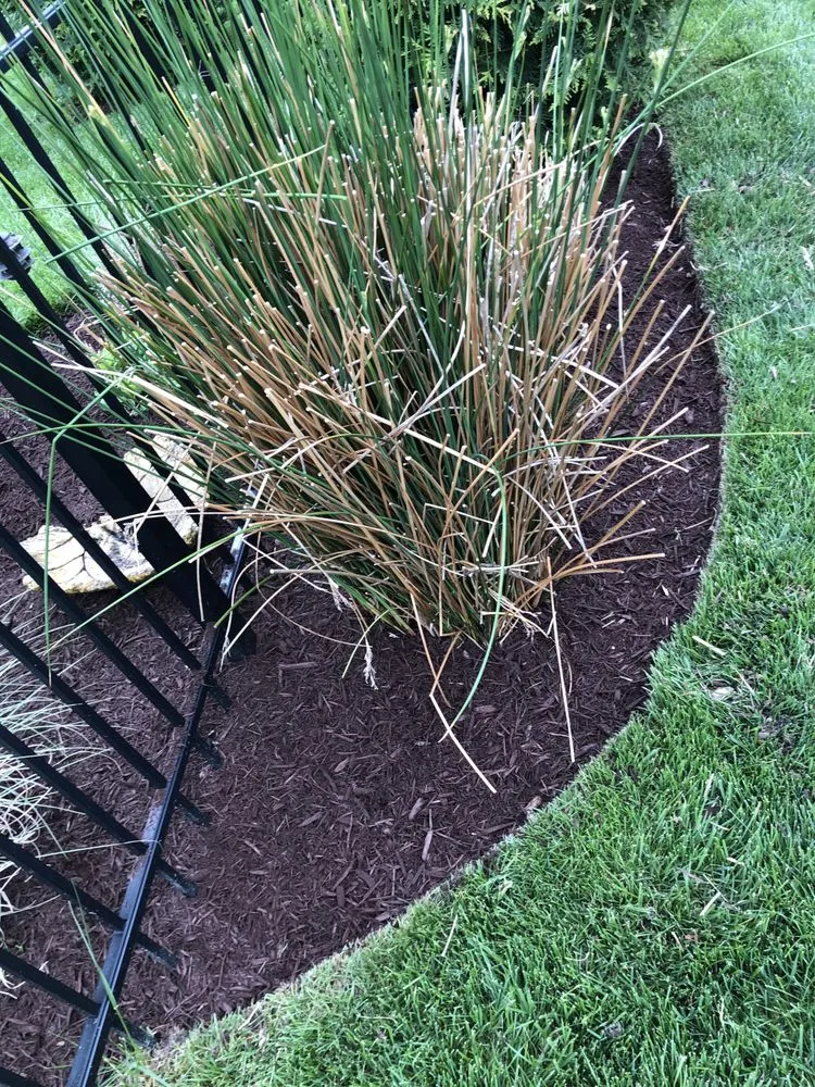 Expert landscape installation with custom design in Seaford, DE by Eden’s Garden Lawn Care