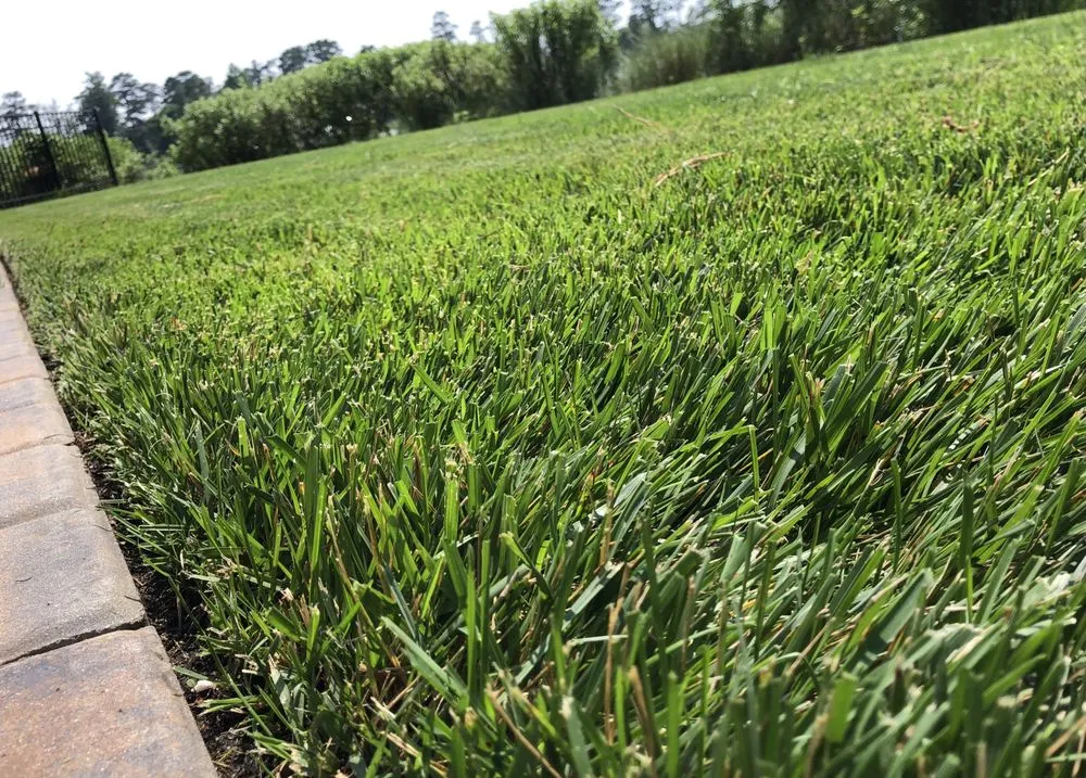 Custom landscape design experts serving Seaford, DE - Eden’s Garden Lawn Care