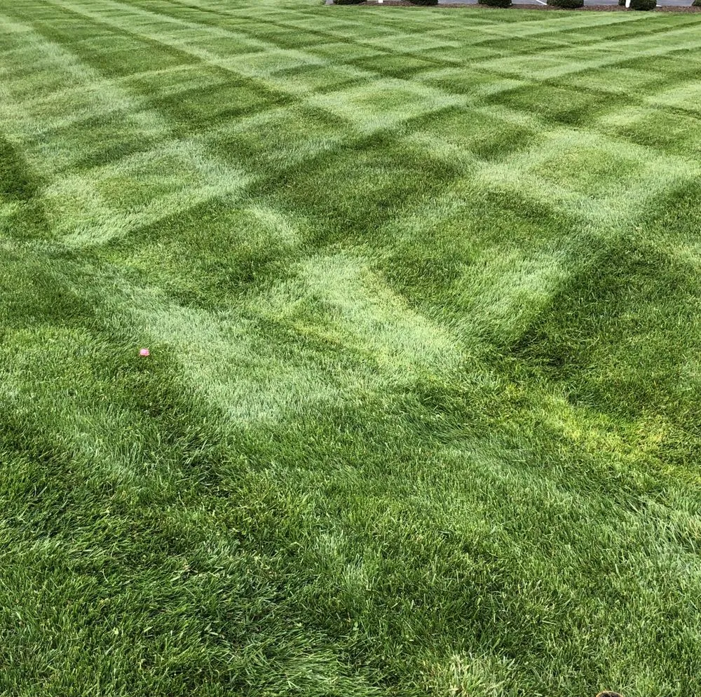 Trusted yard maintenance experts serving Seaford, DE - Eden’s Garden Lawn Care