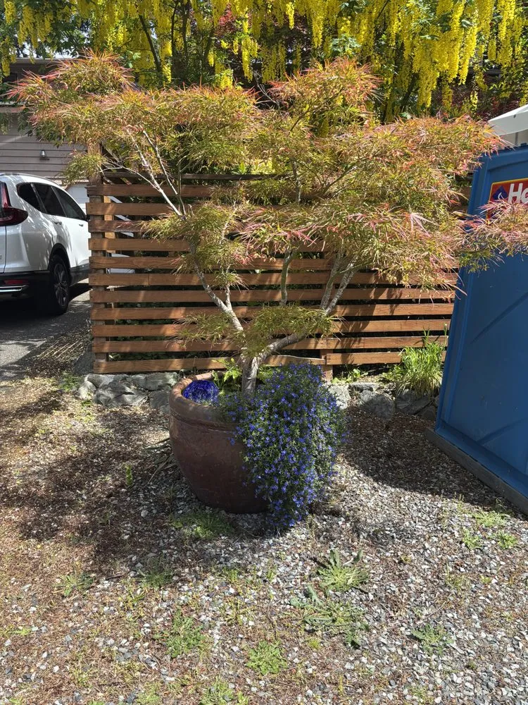 Affordable lawn mowing service in Shoreline, WA - Eden's Gardens