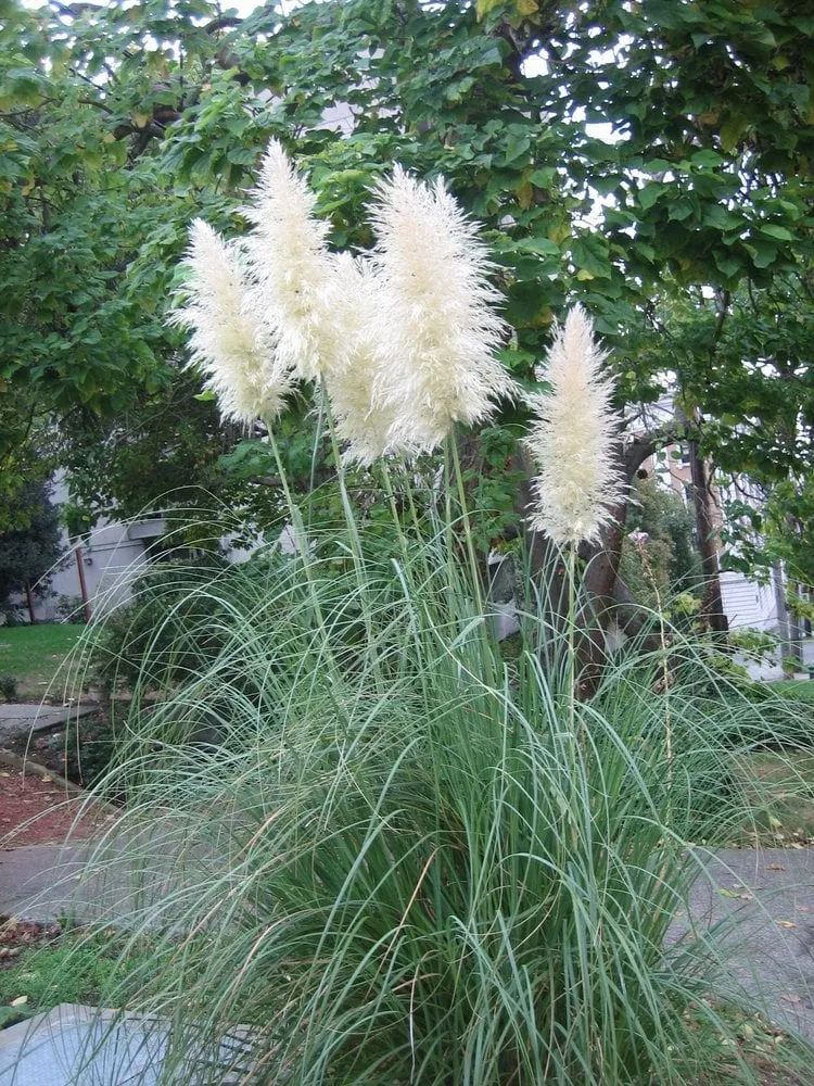 Top-rated garden landscaping experts serving Shoreline, WA - Eden's Gardens