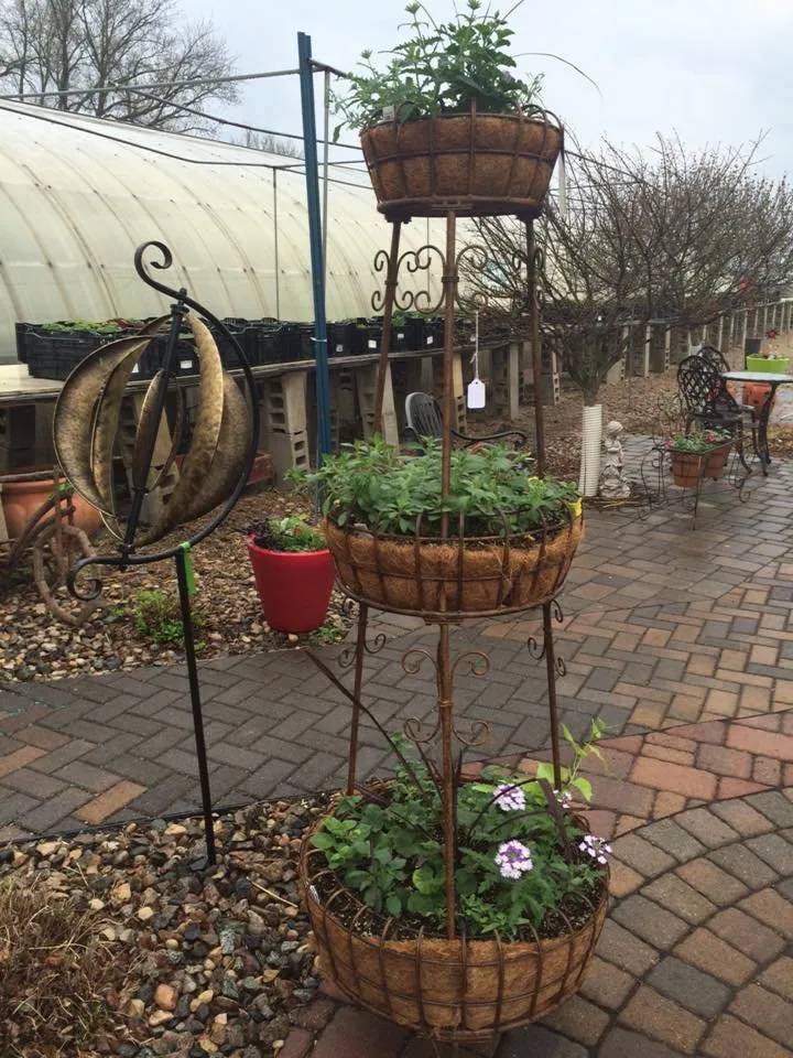 Local outdoor landscaping for beautiful yards across Montevideo, MN - Eden's Green Nursery & Landscape