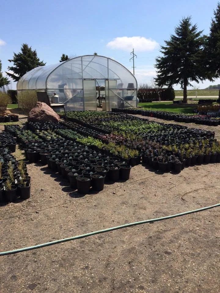 Top-rated landscape installation in Montevideo, MN - Eden's Green Nursery & Landscape