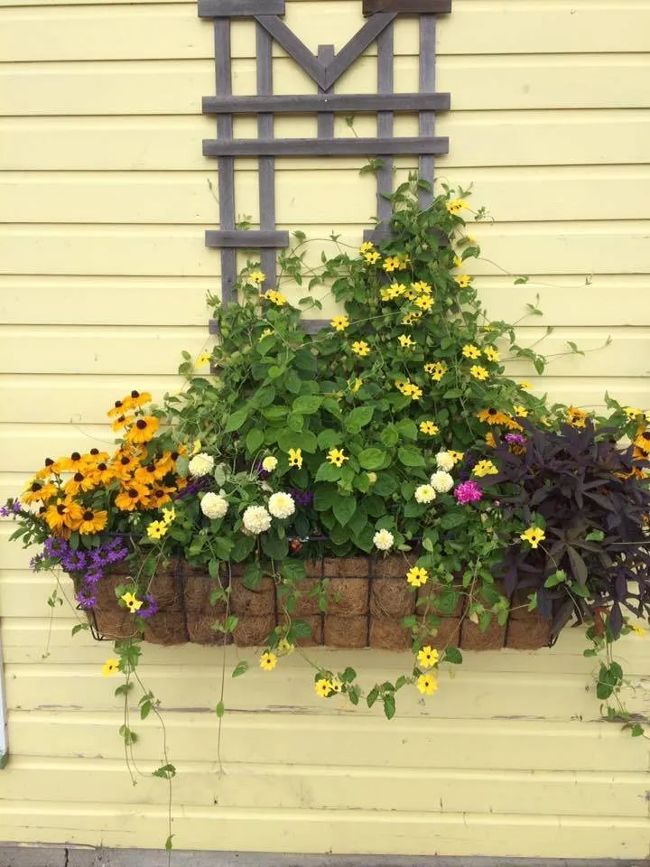 Affordable lawn care service in Montevideo, MN by Eden's Green Nursery & Landscape