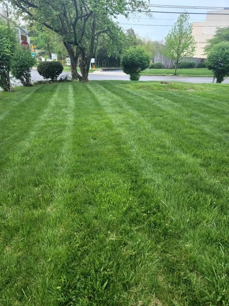 Local garden landscaping experts serving Grand Rapids, MI - Eden's Landscape
