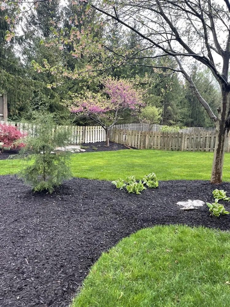 Top-rated yard cleanup service in Indianapolis, IN by Eden's Landscaping and Gardening