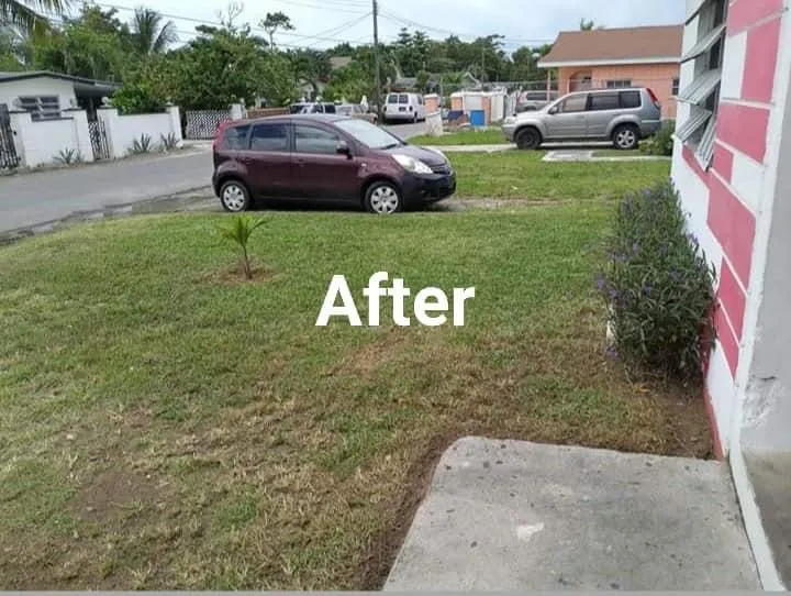 Custom outdoor landscaping in Highpoint, FL by Edens landscaping