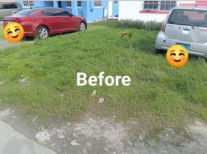 Custom landscape installation in Highpoint, FL - Edens landscaping