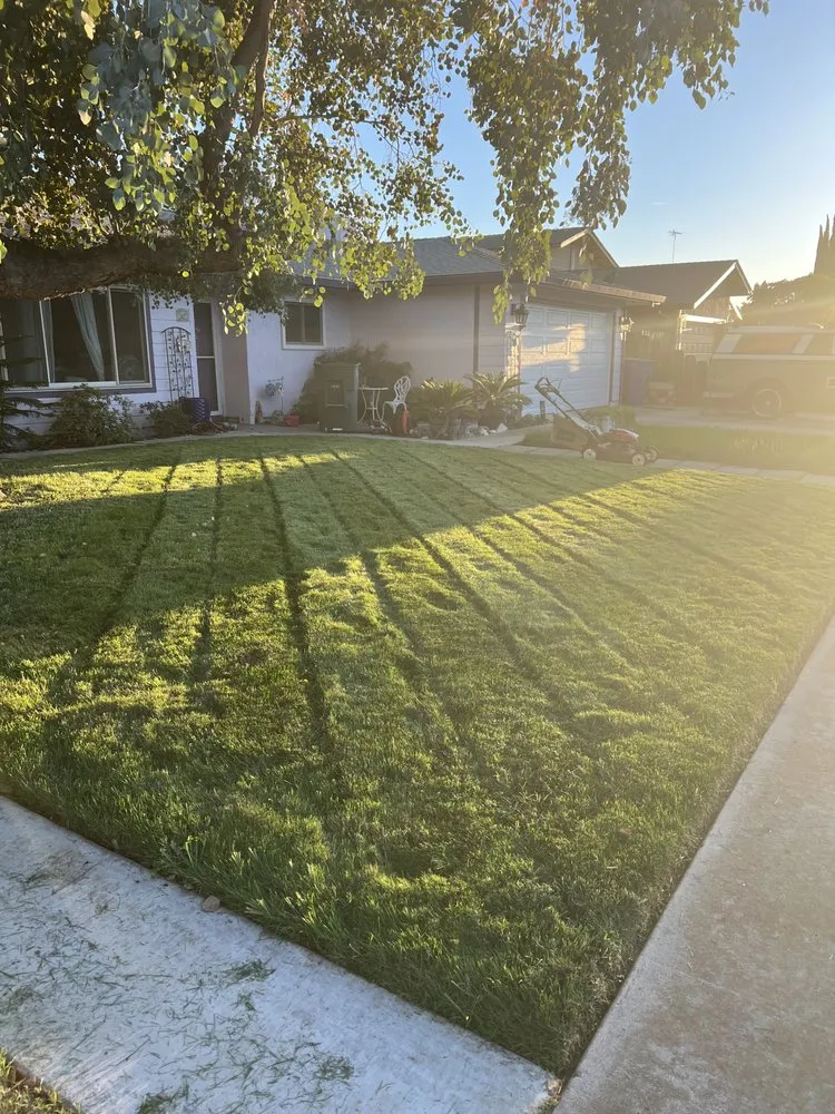 Reliable landscape design for outdoor upgrades across Manteca, CA - Eden’s Lawn Care