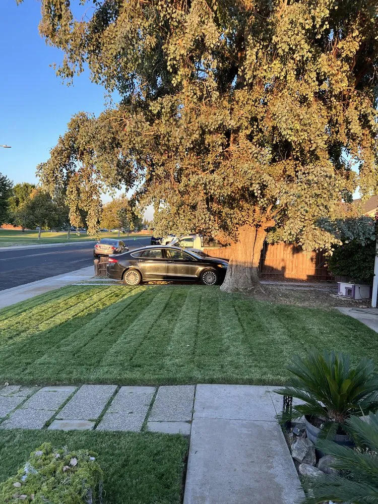 Top-rated garden landscaping experts serving Manteca, CA - Eden’s Lawn Care