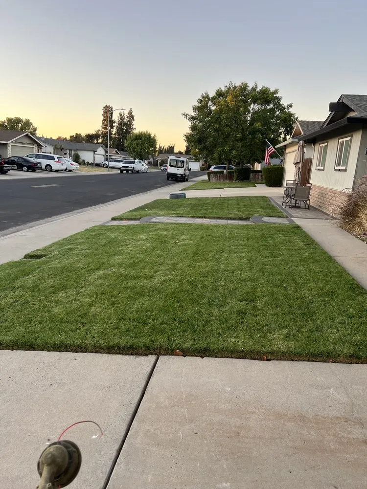 Professional yard cleanup service experts serving Manteca, CA - Eden’s Lawn Care